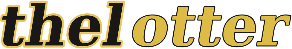 thelotter logotipo